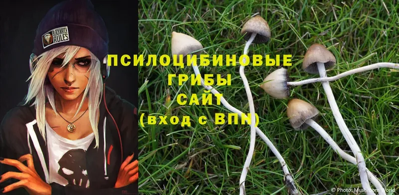 даркнет сайт  Миасс  Галлюциногенные грибы Psilocybine cubensis 